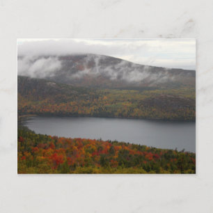 Cartão Postal Árvores da queda do Acadia