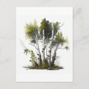 Cartão Postal Árvores-de-Aves, A Irlanda Norte