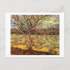 Cartão Postal Árvores de damascos no Flor por Van Gogh