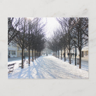 Cartão Postal Árvores de inverno em Praga (república checa)