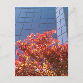 Cartão Postal Árvores de madeira e vidro