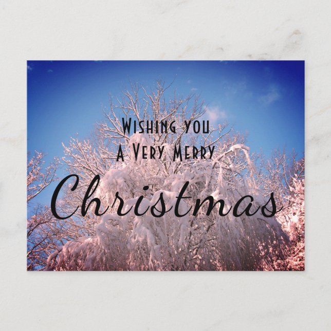 Cartão Postal Árvores de Neve de Natal! (Frente)