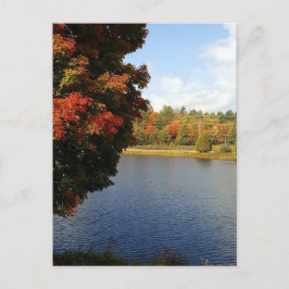 Cartão Postal Árvores de outono em Ontário, Canadá