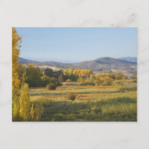 Cartão Postal Árvores de Outono, Khancoban, Montanhas Nevadas, N