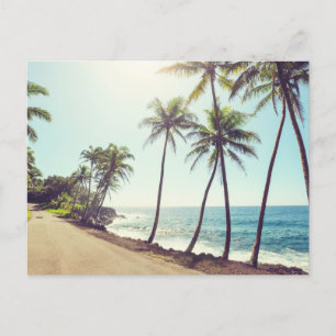Cartão Postal Árvores de Palma Exóticas de Paraíso Tropical, Oce
