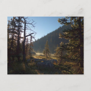 Cartão Postal Árvores de pinheiro Fosco suniluminadas no lago de