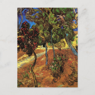 Cartão Postal Árvores de Van Gogh no Jardim, Hospital Saint Paul