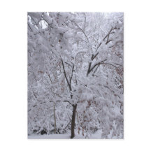 Árvores em Carga de Neve