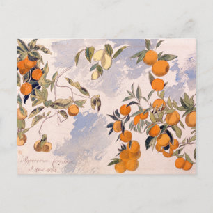 Cartão Postal Árvores frutas - Edward Lear