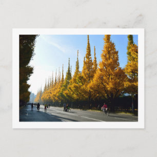 Cartão Postal Árvores Ginkgo, Avenida Icho Namiki: Tóquio