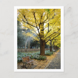 Cartão Postal Árvores Ginkgo: Meiji Jingu Gaien, Tóquio