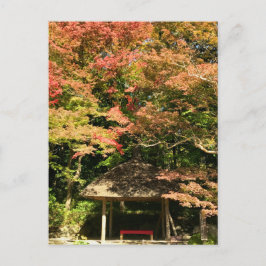 Cartão Postal Árvores Mapeadas Coloridas e Restauração da Casa