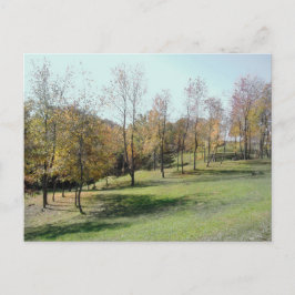 Cartão Postal Árvores Na Placa De Posto De Foto Do Slope 2004