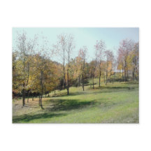 Árvores Na Placa De Posto De Foto Do Slope 2004