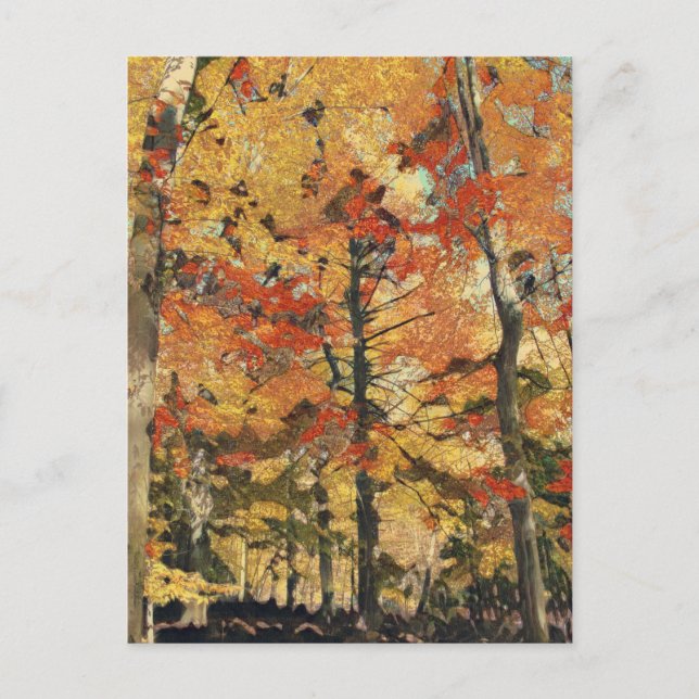 Cartão Postal Árvores ouros (Frente)