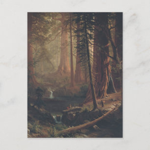 Cartão Postal Árvores Sequoias Gigantes da Califórnia