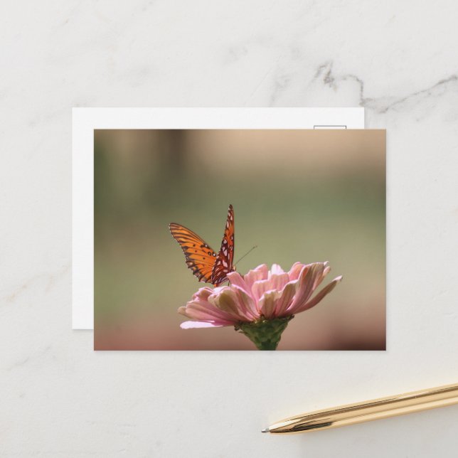 Cartão Postal As Asas — Cartão-postal da Borboleta (Frente/Verso In Situ)