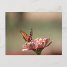 Cartão Postal As Asas — Cartão-postal da Borboleta