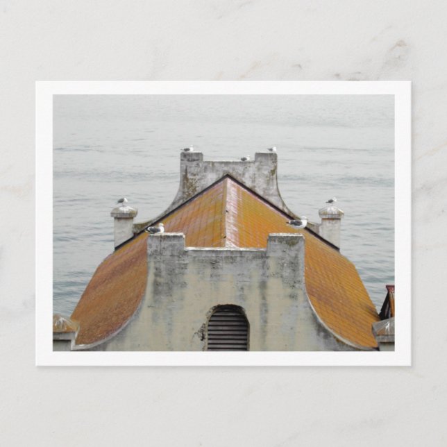 Cartão Postal As aves de Alcatraz (Frente)