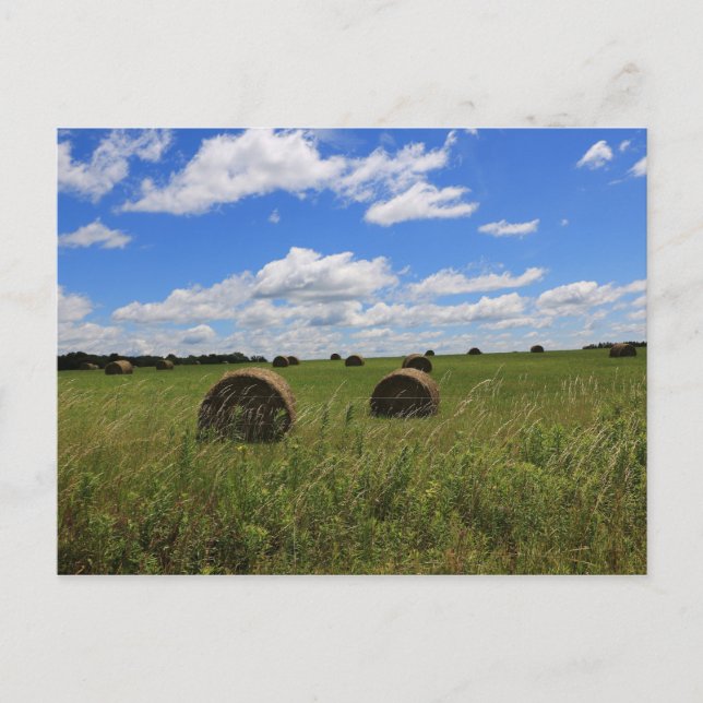 Cartão Postal As Balas do Verão (Frente)