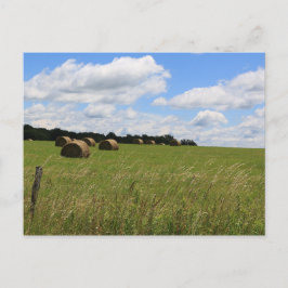 Cartão Postal As Balas do Verão 2