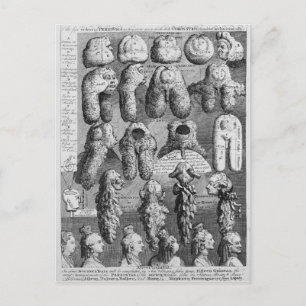 Cartão Postal As Cinco Ordens de Perriwigs, 1761