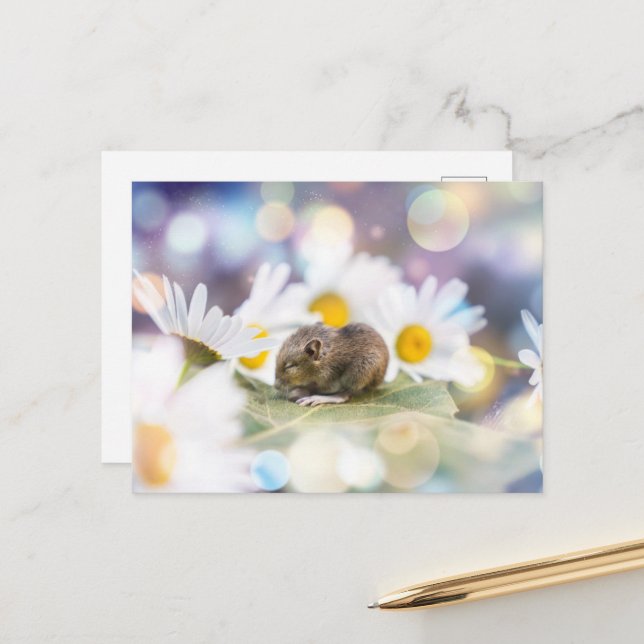 Cartão Postal As Coisas Pequenas (Frente/Verso In Situ)