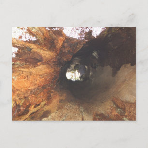 Cartão Postal As Coisas São Apertadas