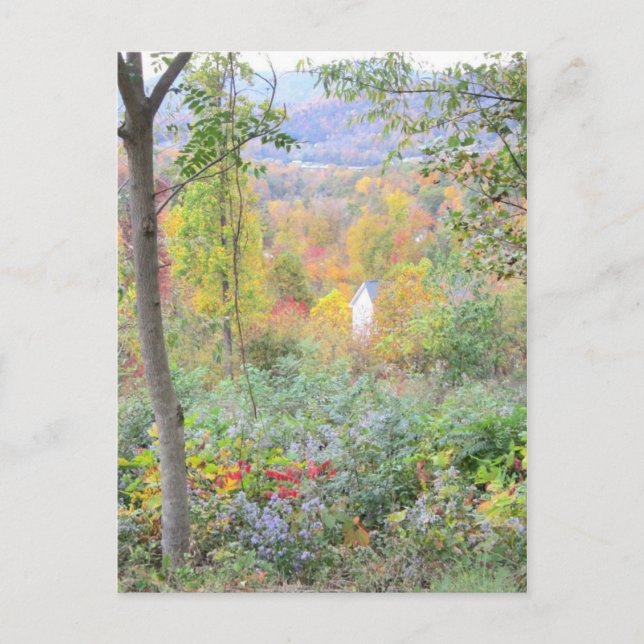 Cartão Postal as cores de uma queda da montanha (Frente)