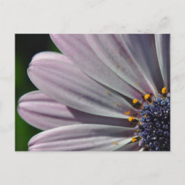 Cartão Postal As Flores Dentro