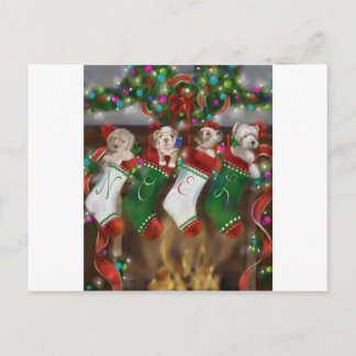 Cartão Postal As Meias Foram Penduradas