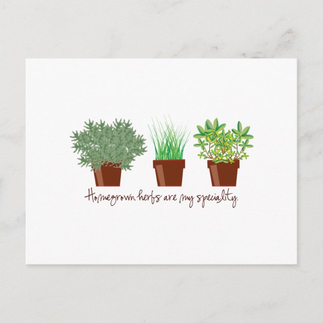 Cartão Postal As Plantas Homónimas São Minha Especialidade (Frente)