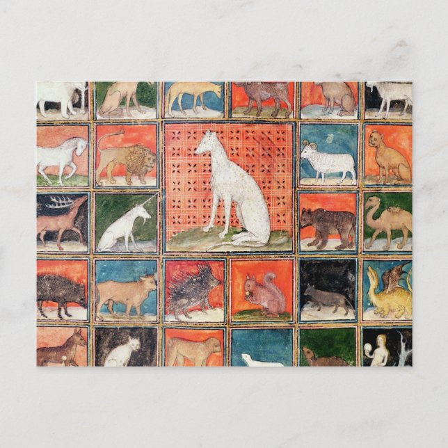 Cartão Postal As Propriedades dos Animais: Os Mamíferos (Frente)