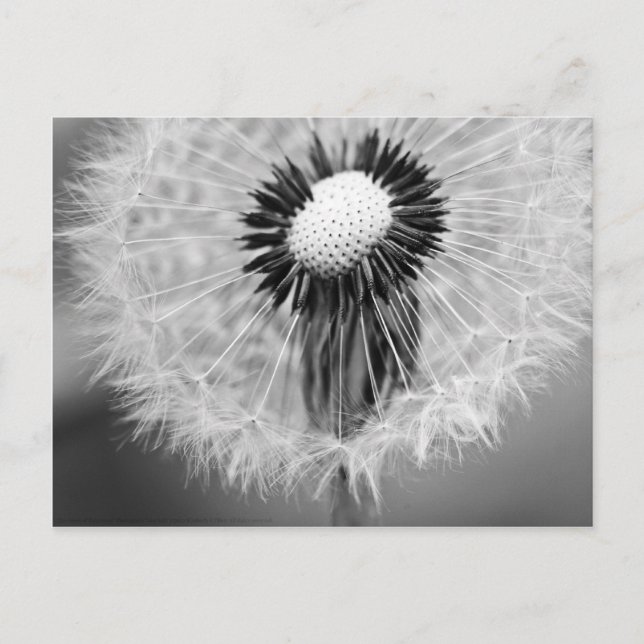 Cartão Postal As sementes de amanhã (Frente)