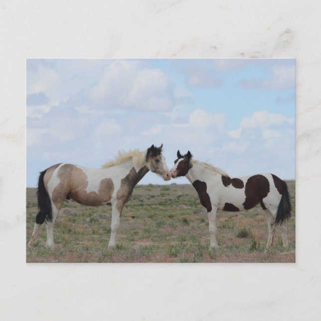 Cartão Postal As Tintas (Frente)