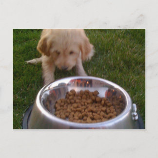 Cartão Postal Às vezes, é duro de cumprir suas expectativas