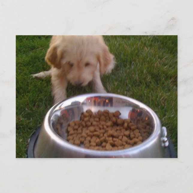 Cartão Postal Às vezes, é duro de cumprir suas expectativas (Frente)