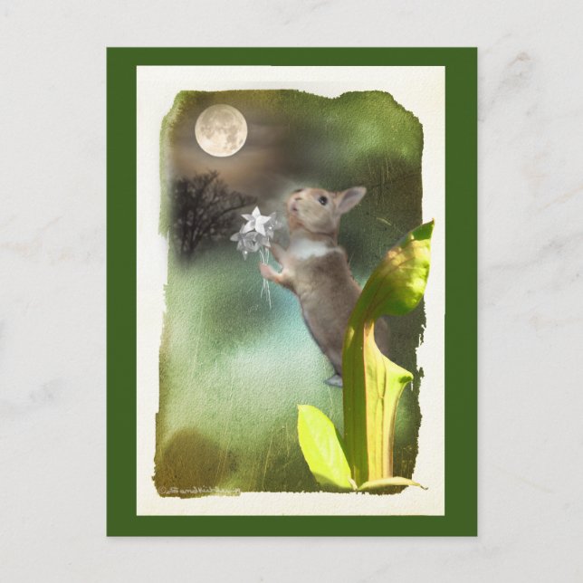 Cartão Postal Às vezes, tarde da noite, ouço Joey cantando / car (Frente)