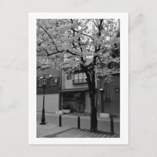 Cartão Postal Asakusa na Primavera: Tóquio, Japão