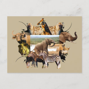 Cartão Postal Ascensão Elefante do Quadro Africano da Vida Selva