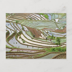 Cartão Postal Ásia, China, Yunnan, Jinping. Povos Yi nativos