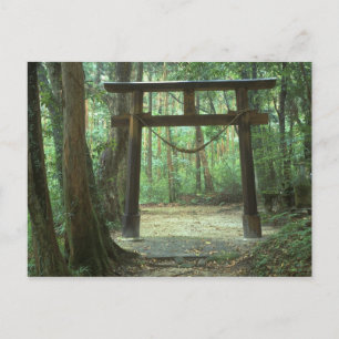 Cartão Postal Ásia, Japão, Kagoshima, Yakushima, Montanha