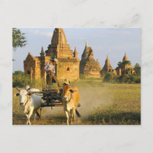 Cartão Postal Ásia, Mianmar (Birmânia), Bagan (Pagan). Um carrin