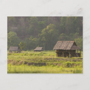 Cartão Postal Ásia, Tailândia, Mae Hong Son, Cabanas de arroz no