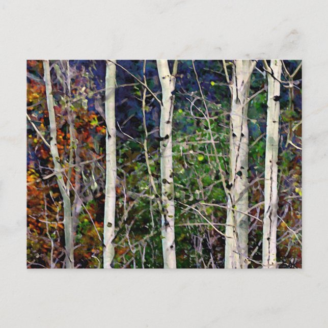 Cartão Postal Aspen (Frente)