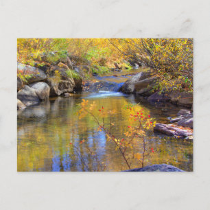 Cartão Postal Aspen, Colorado Autumn Creek Landscape