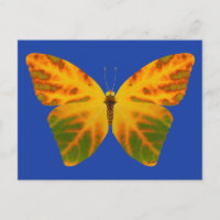 Aspen Leaf Butterfly 1