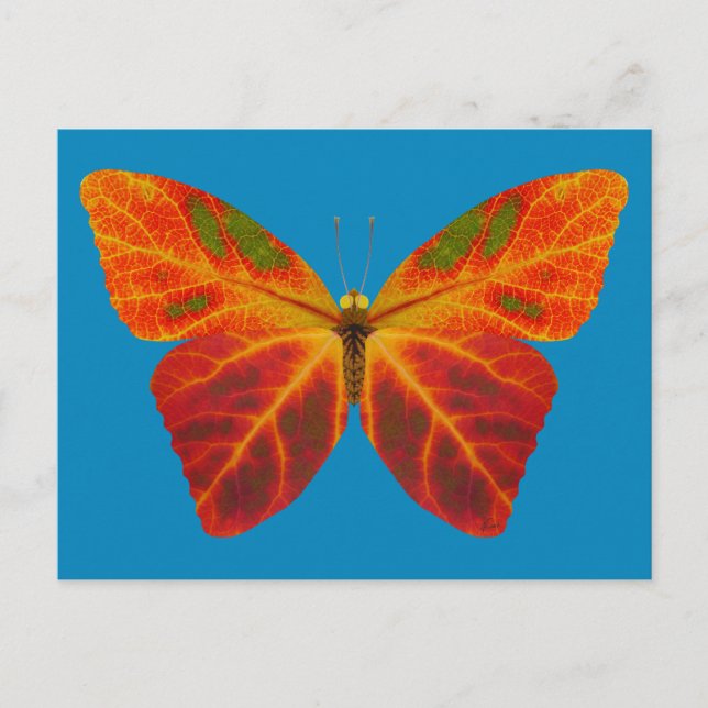 Cartão Postal Aspen Leaf Butterfly 2 (Frente)