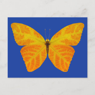 Cartão Postal Aspen Leaf Butterfly 3