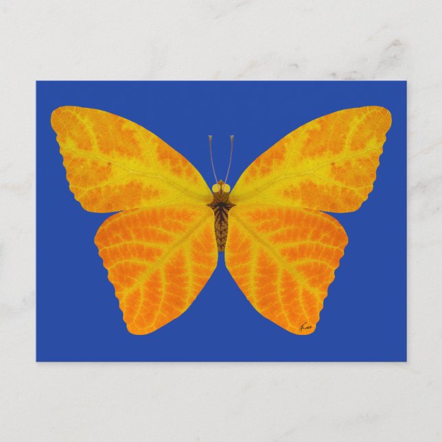 Cartão Postal Aspen Leaf Butterfly 3 (Frente)